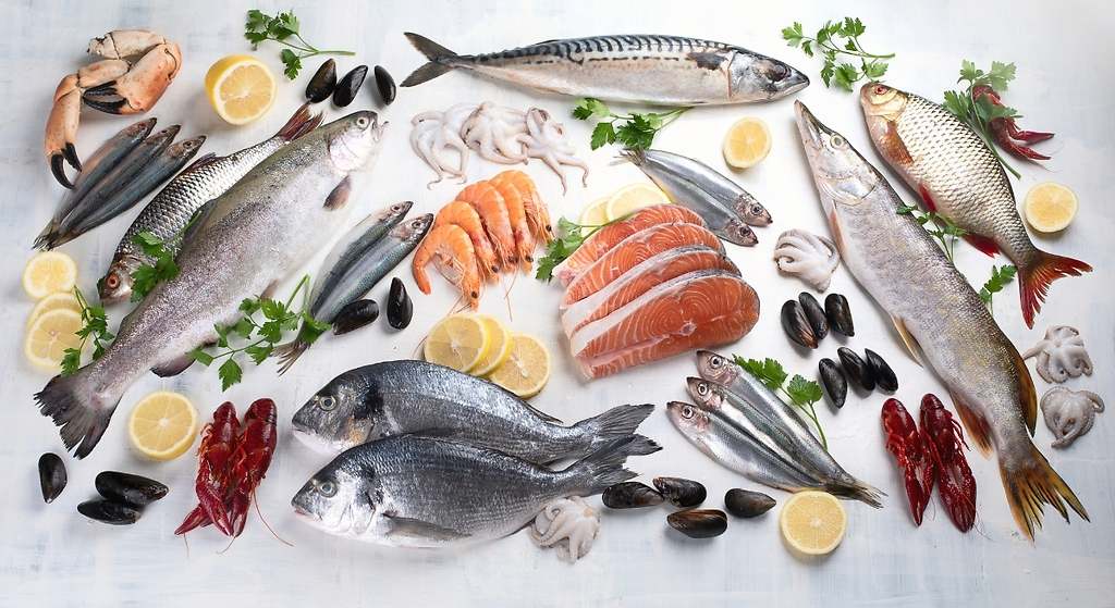Pescado