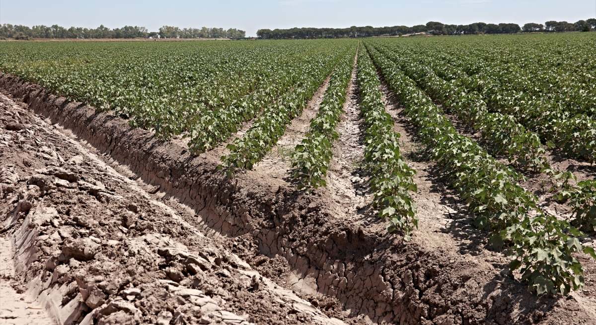 El Gobierno da a Andalucía tres nuevos proyectos del Perte Agro por casi 1,4 millones