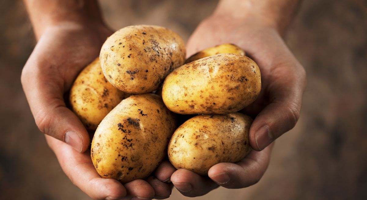 ¿Con una patata?