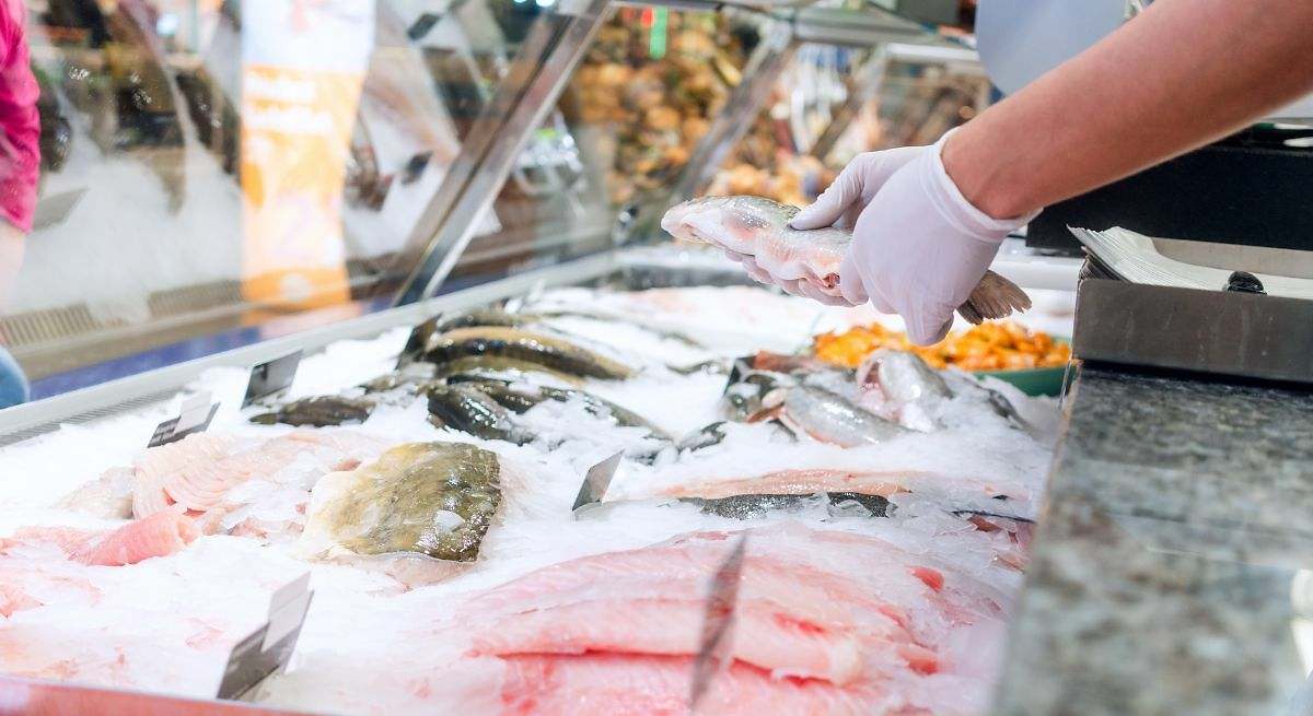 Ni sardinas ni caballa: el pescado español con más omega 3, más proteínas y menos mercurio del súper