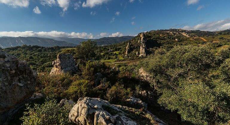 zona de sierra muy cercana al bosque