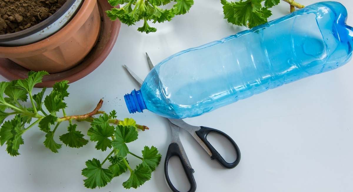 Agujerear la botella