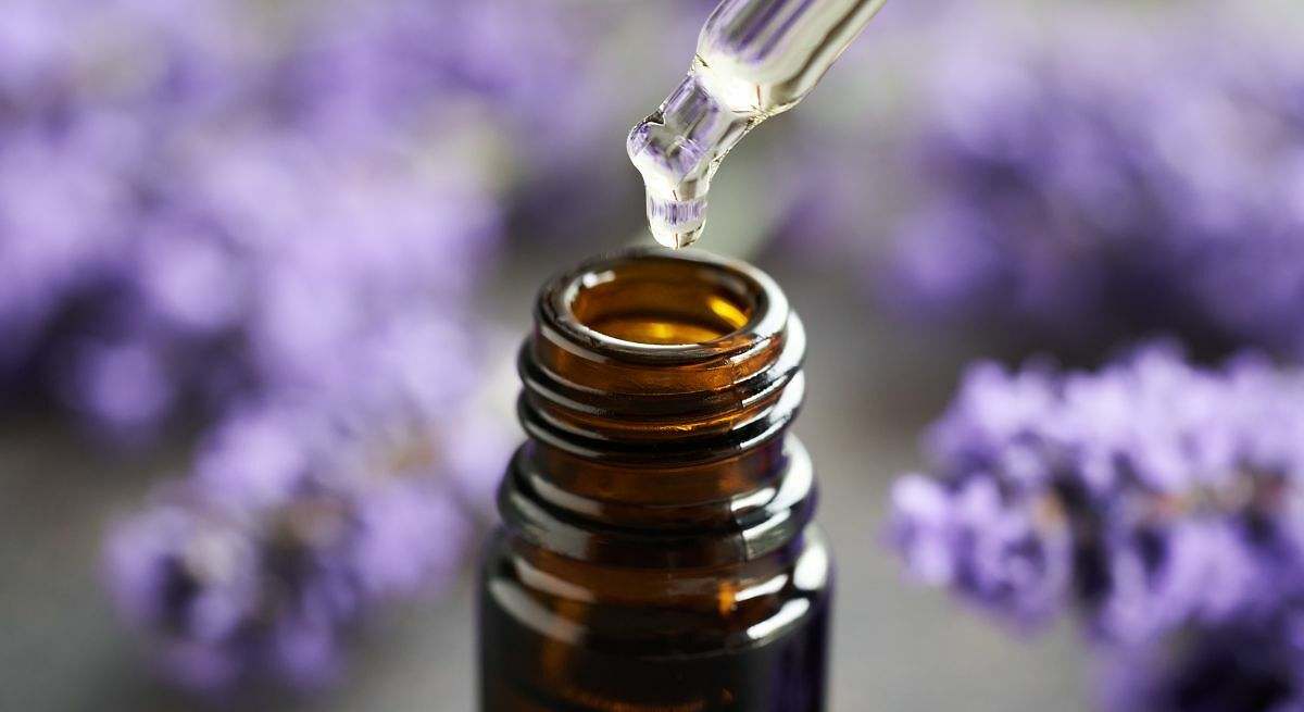 Lavanda