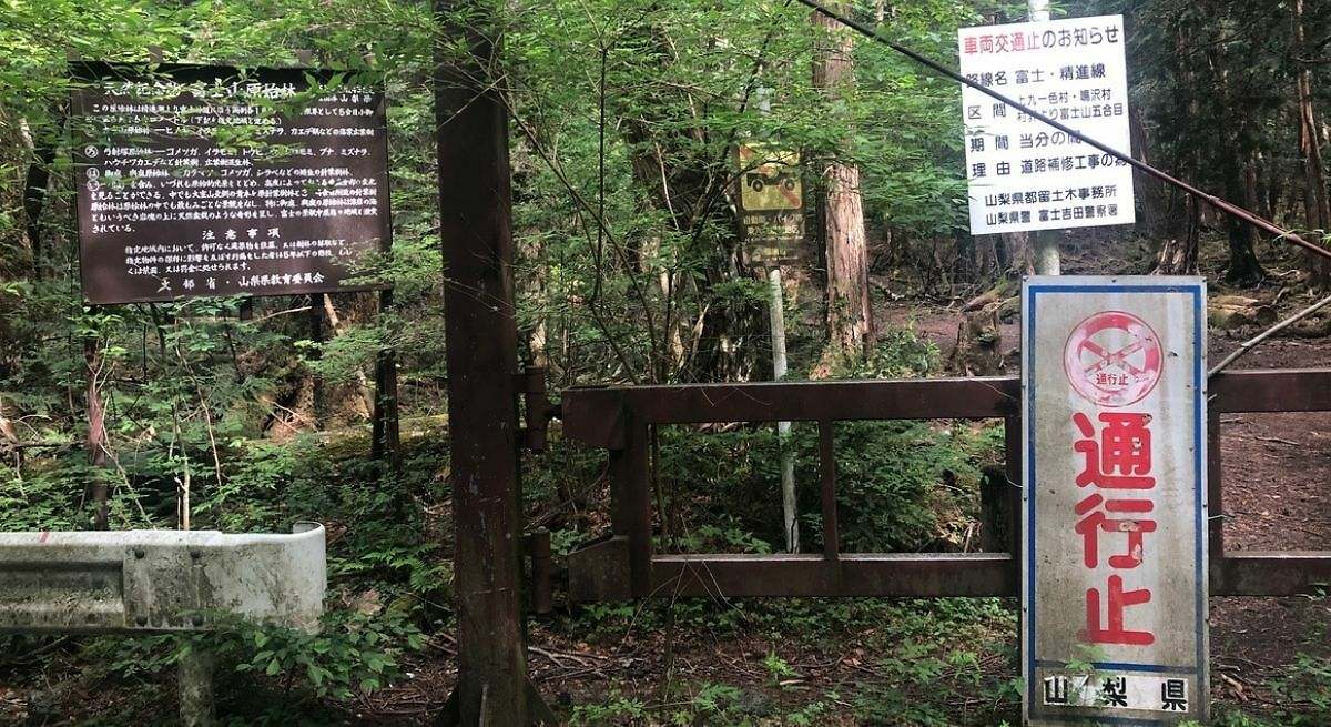 Bosque de Aokigahara, Japón