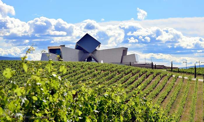 bodegasommos