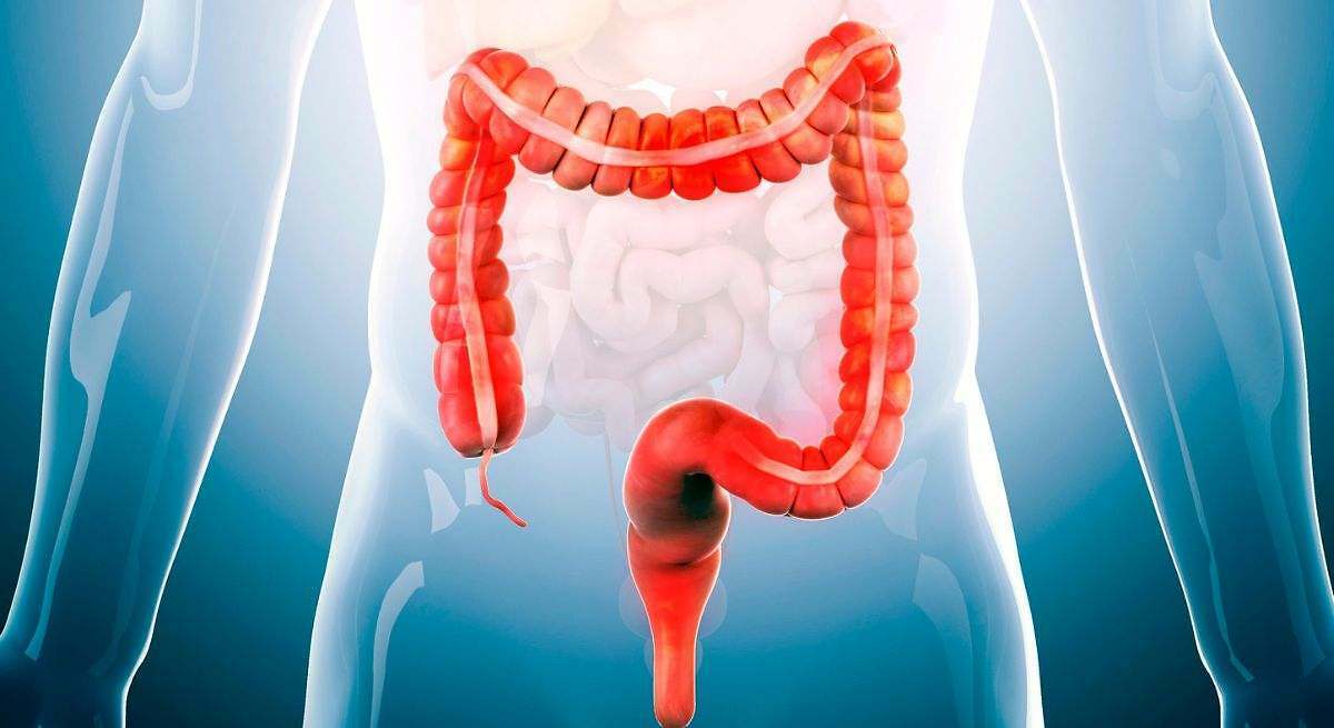 La mejor fruta para limpiar el colon en verano de forma natural