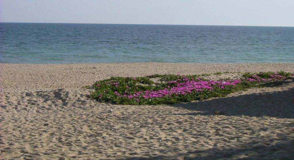 Playa de La Antilla