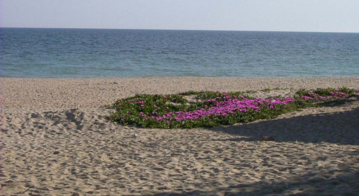 Playa de La Antilla