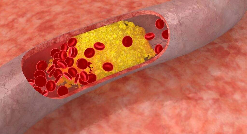 Excelente fuente de ácidos grasos omega-3