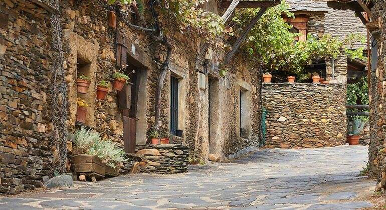 Calle de un pueblo negro de Guadalajara con vegetación y casas de piedra