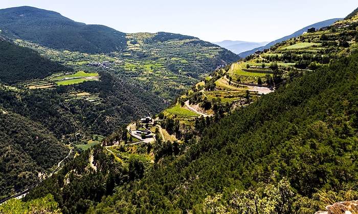 vinyes-andorra.jpg