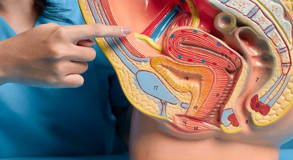 Fortalece el sistema inmunológico