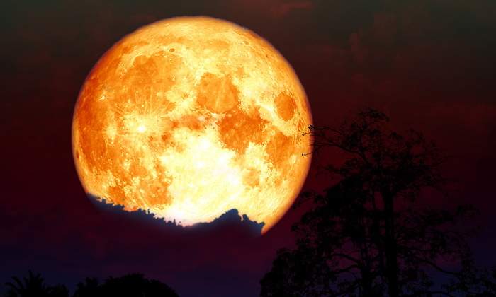 luna-ciervo.jpg