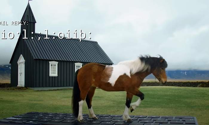 outhorse-your-email-caballo-islandia-teclado.jpg