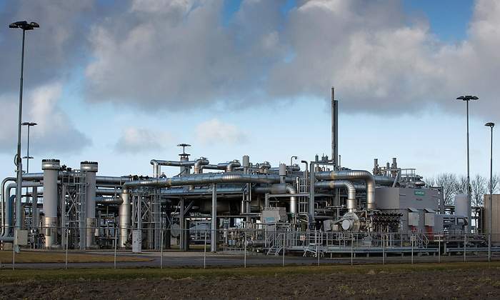 groningen-planta-reuters.jpg