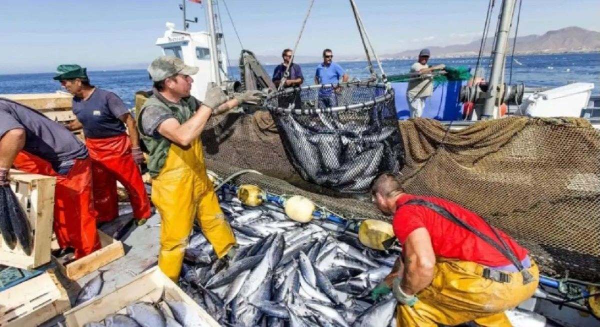 El 80% de mayoristas de pescado cree que la nueva legislación europea van contra los intereses del sector