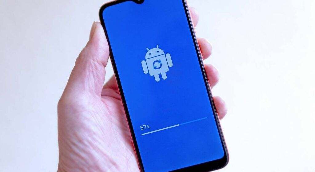Mantén tu software actualizado
