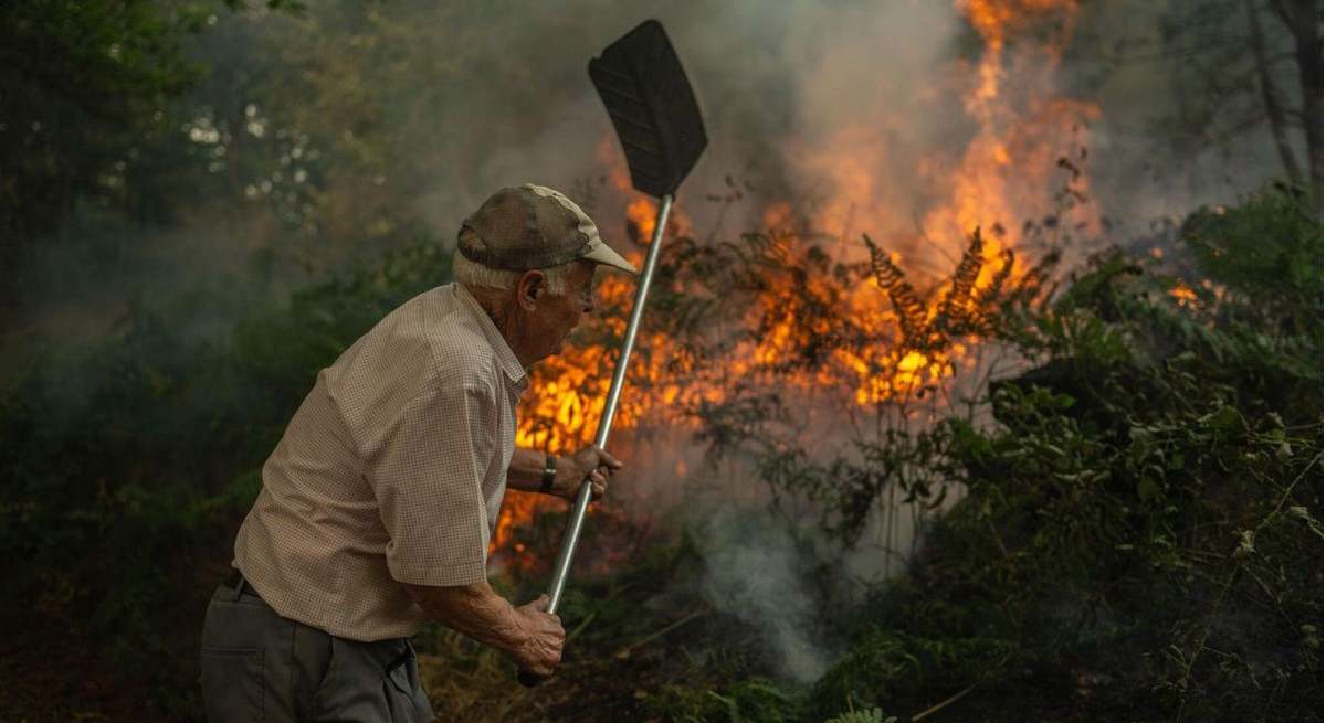 Galicia ofrece ocho líneas de ayuda de hasta 200.000 euros en ganadería, agricultura y forestal por los incendios