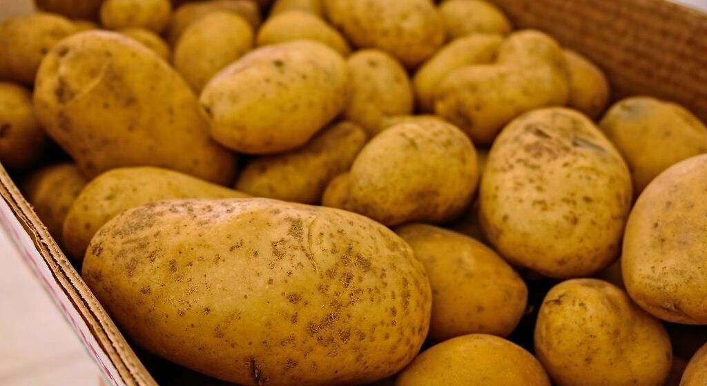 Patatas