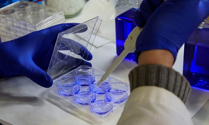 laboratorio-investigacion.jpg