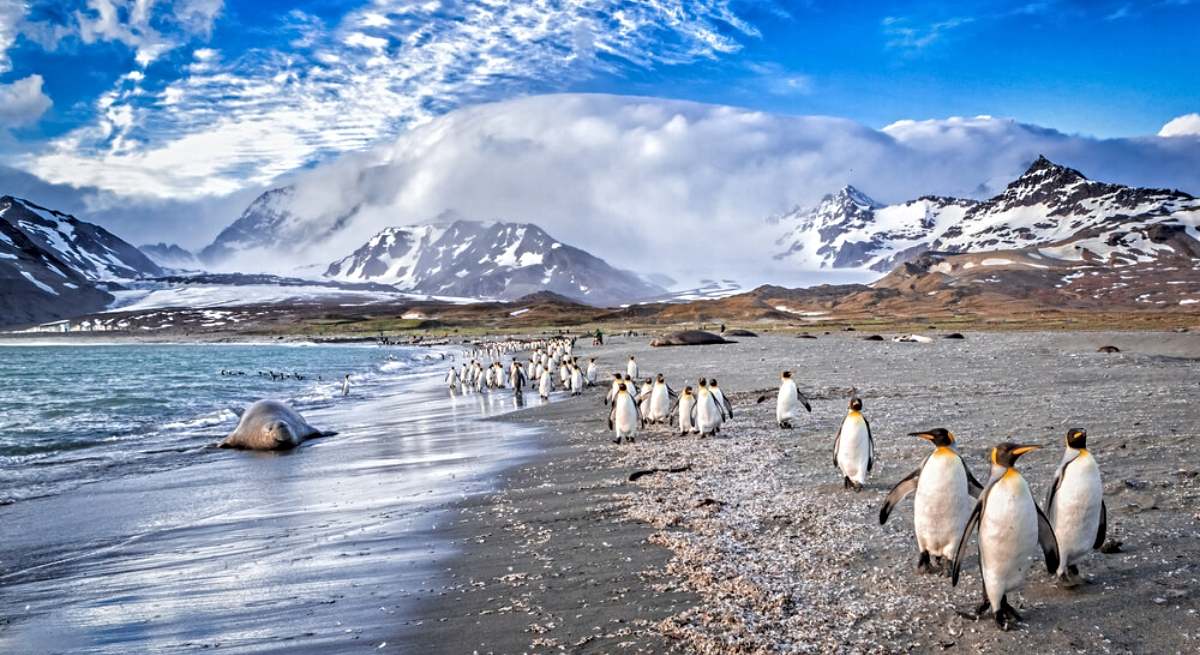Tierra del Fuego denuncia pesca ilegal en las Islas Malvinas y reclama a España, China y Corea del Sur – Escenario Mundial
