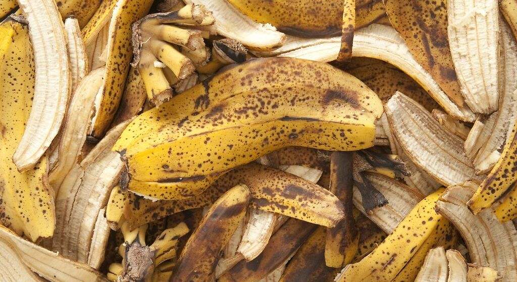 Cáscara de plátano