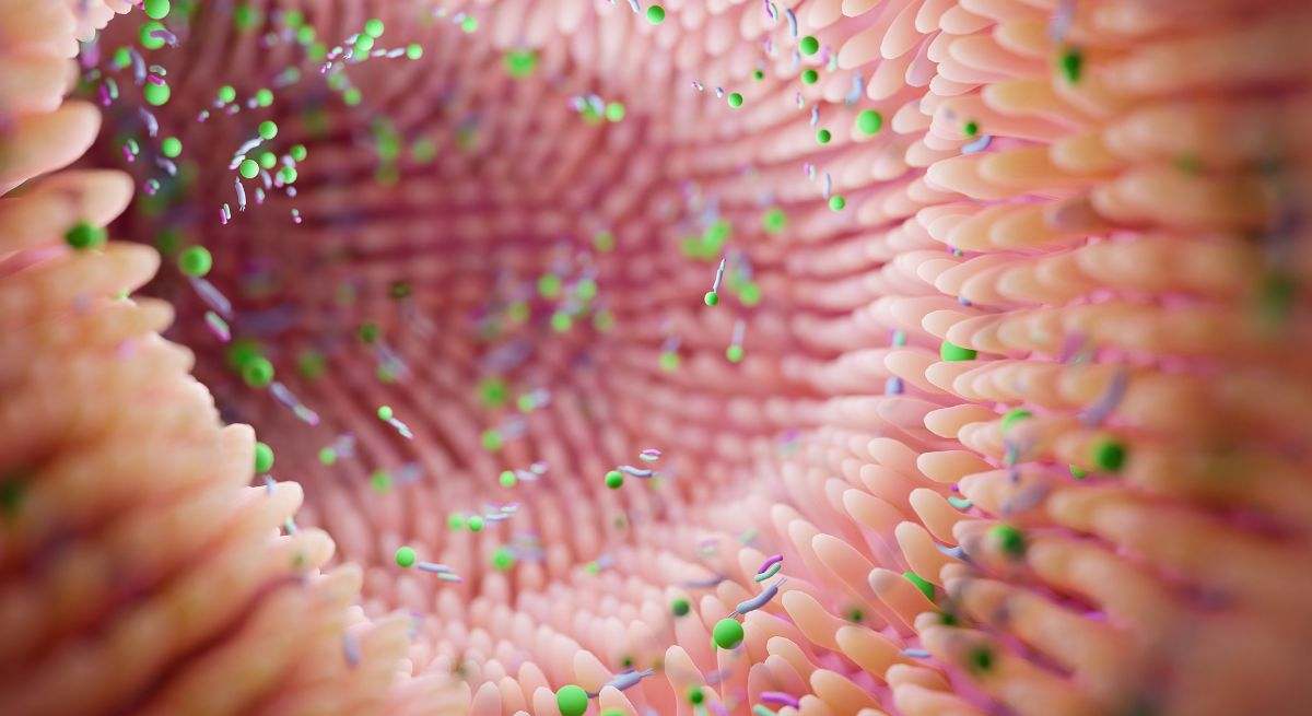 Es ideal para la microbiota