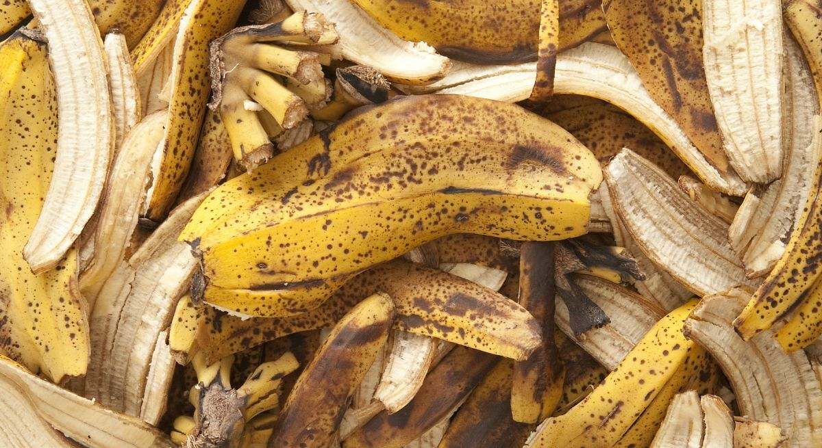 Cáscara de plátano