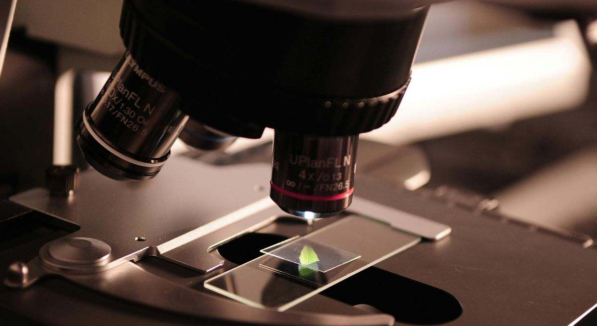 Medidas de bioseguridad