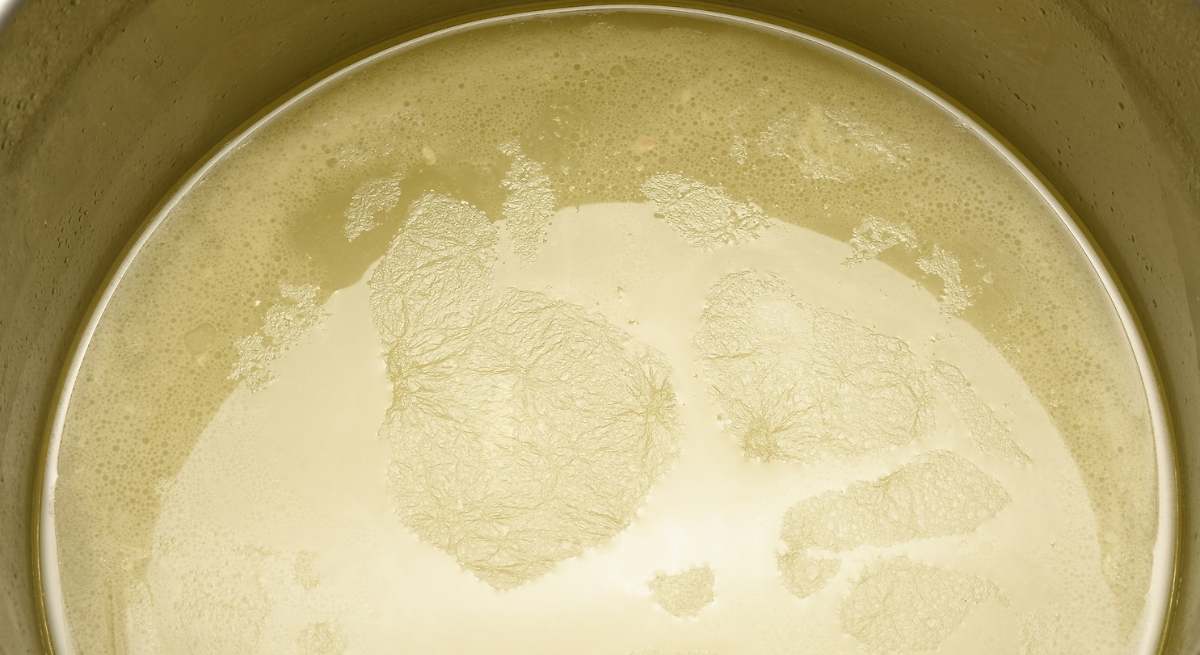 Un químico revela el truco del hielo para quitar el exceso de grasa de las comidas: "De este modo podemos tener un caldo más ligero"