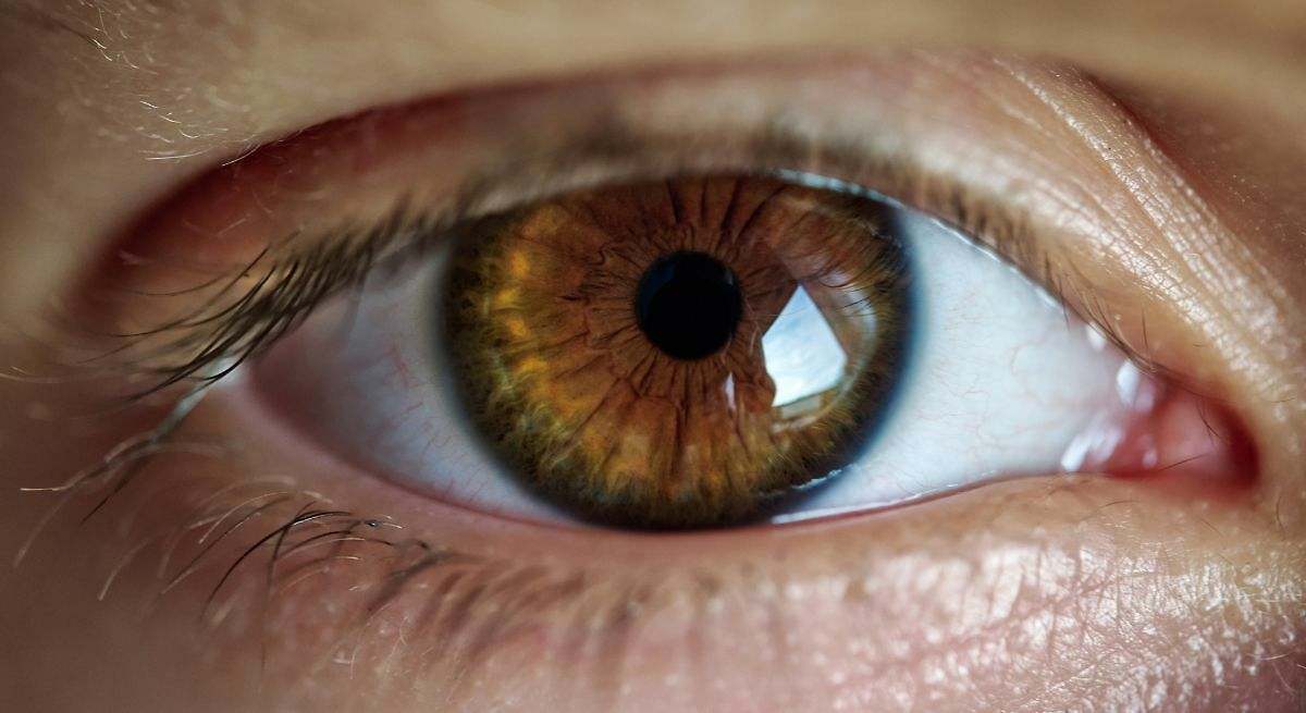 Qué son las "moscas volantes" de los ojos, unas molestas figuras que "acompañan tu mirada"