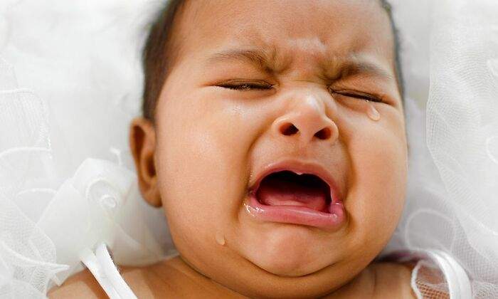 gripe-tomate-dreamstime.jpg