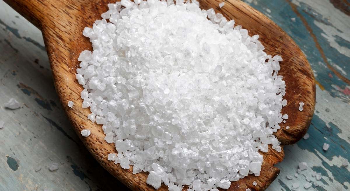 Sal gorda
