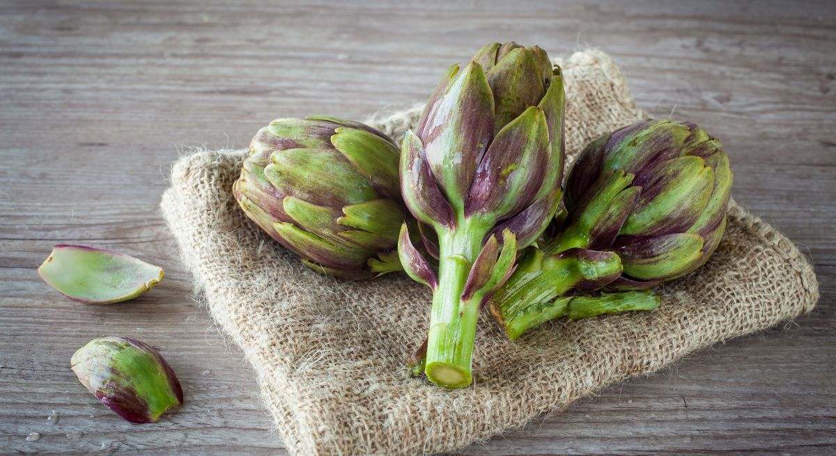 Alcachofa