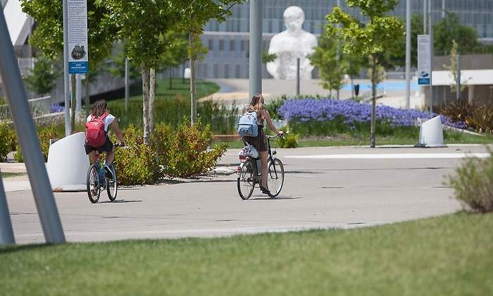bicis.jpg