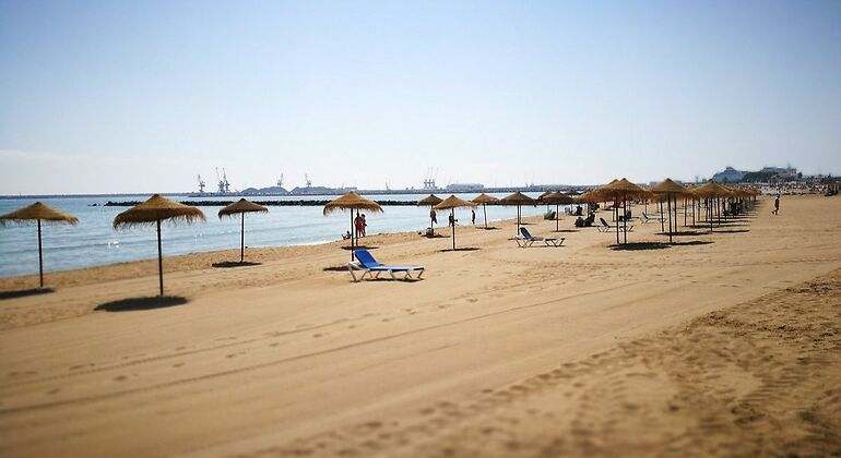 Una hilera de sombrillas en una playa con arenas doradas y tres hamacas en medio