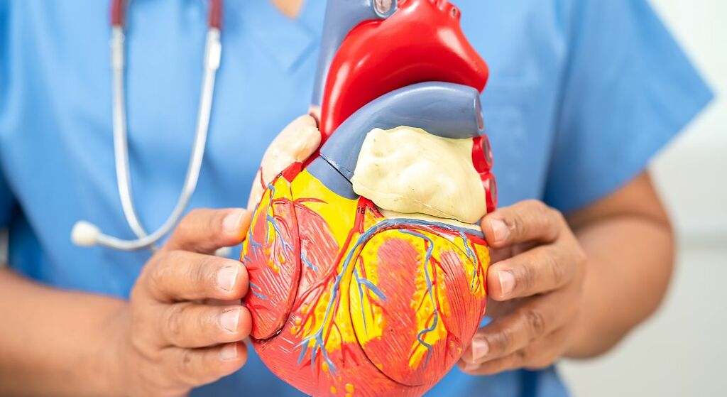Protege contra enfermedades cardiovasculares