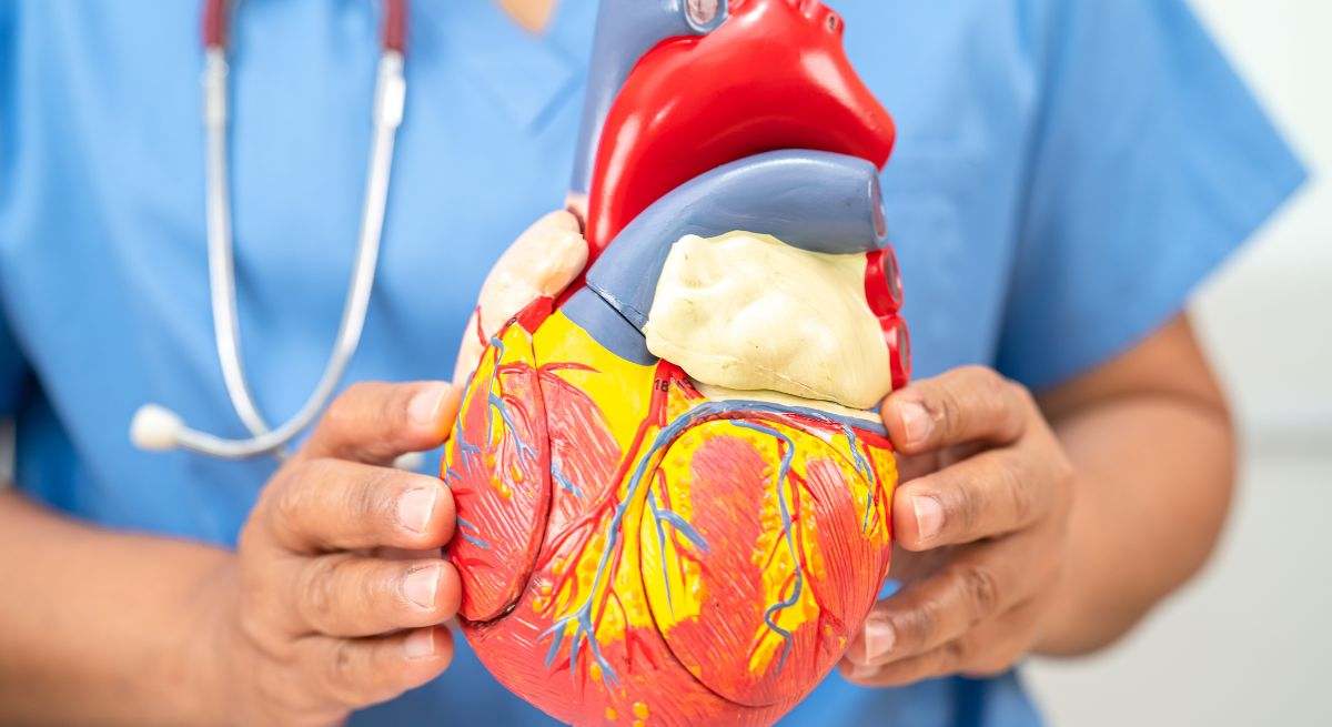 Protege contra enfermedades cardiovasculares
