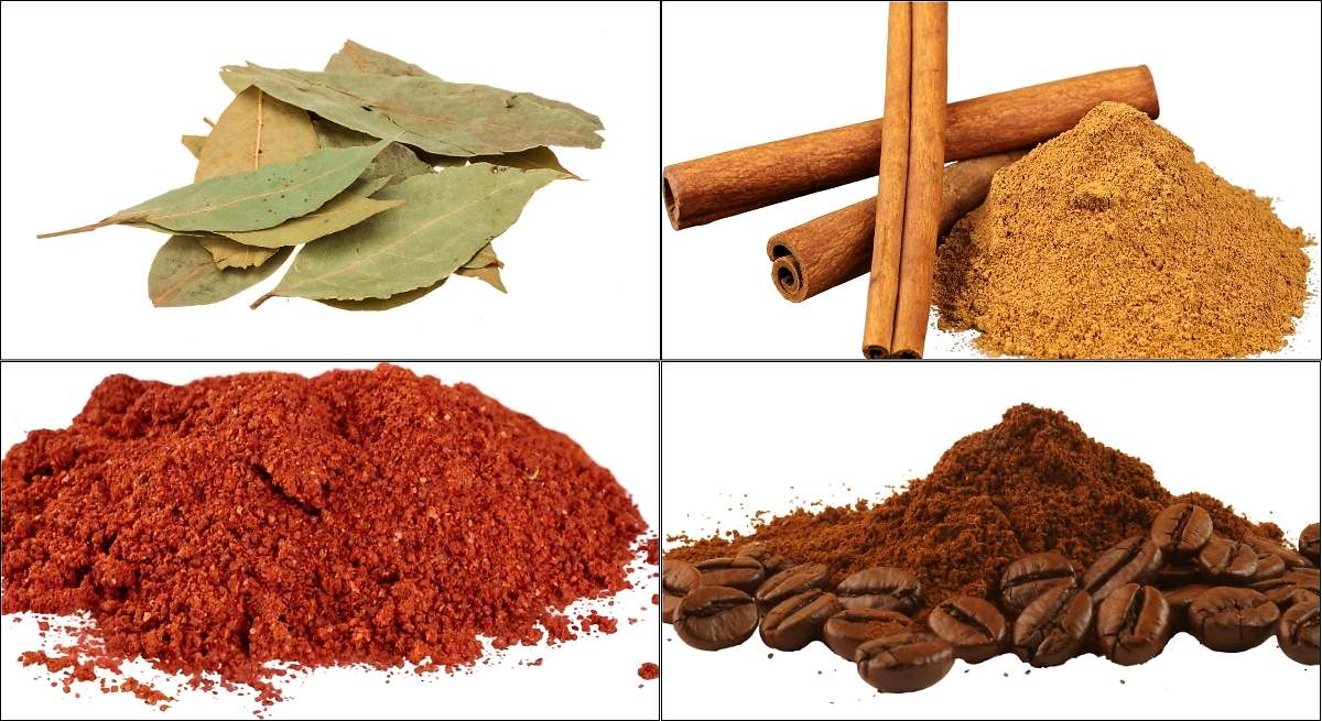 Ingredientes caseros