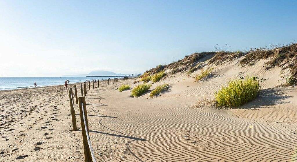 Playa de Terranova (Oliva)