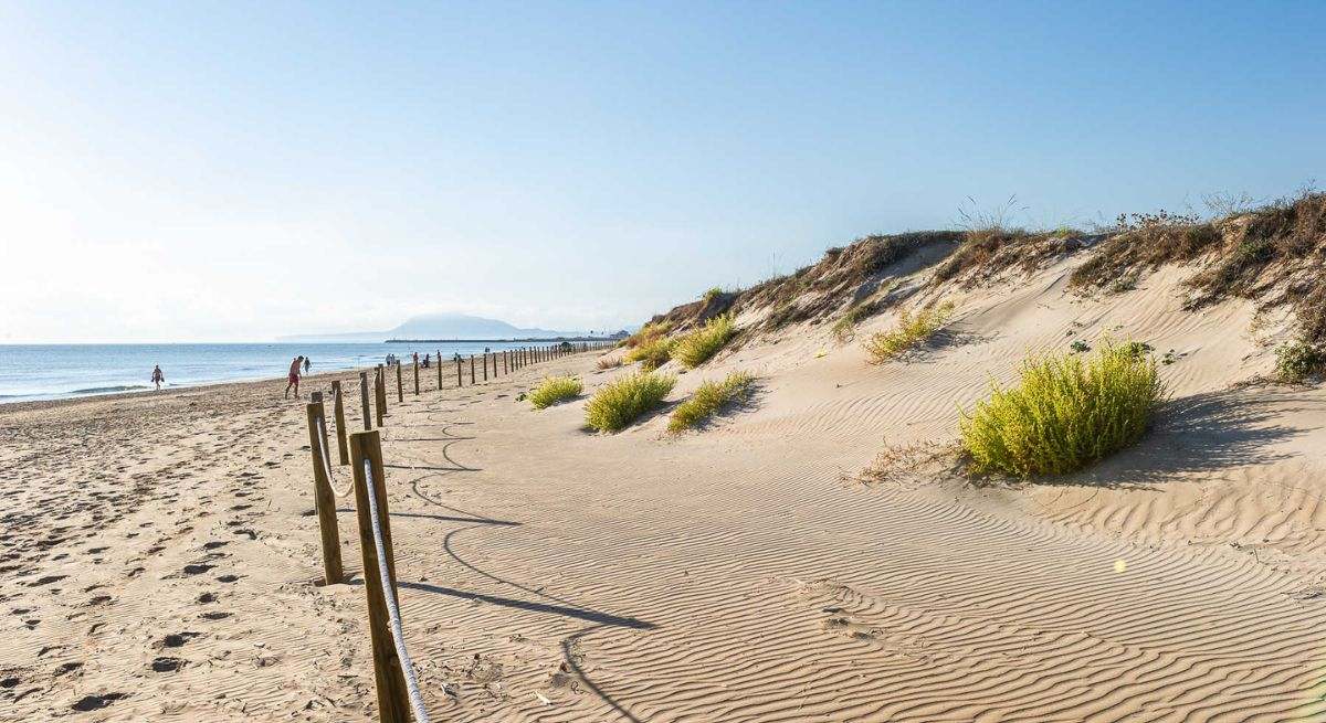 Playa de Terranova (Oliva)