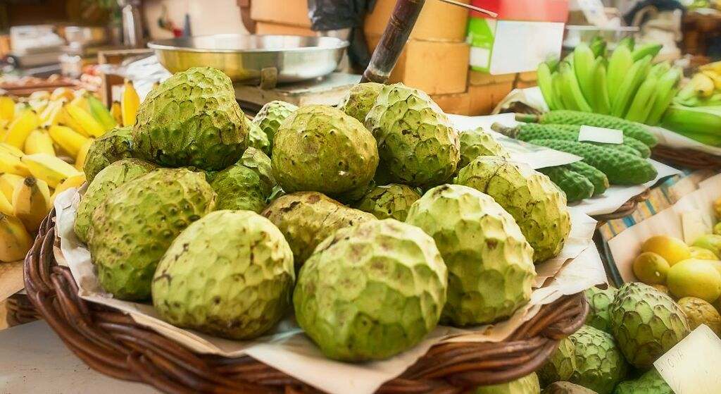 Nutrientes