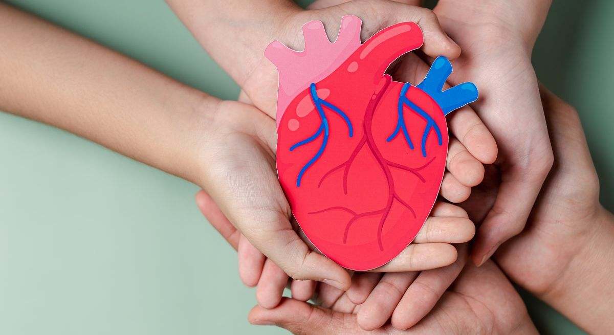 Investigadores descubren una diana molecular para proteger el corazón del daño causado por una dieta rica en grasas y la obesidad