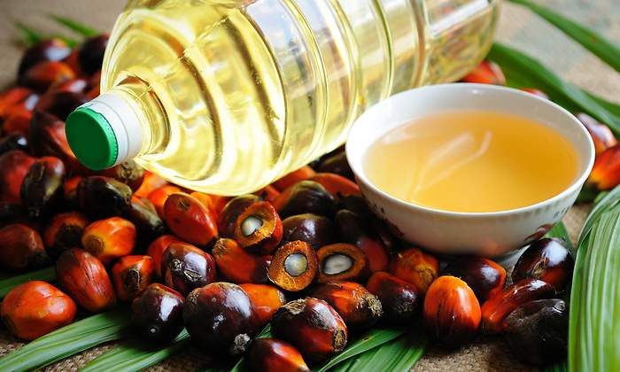 aceite-palma-dreamstime.jpg