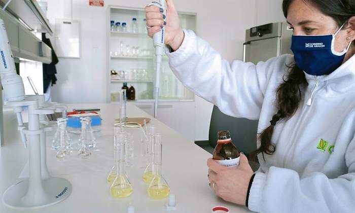 innovacion agroalimentaria