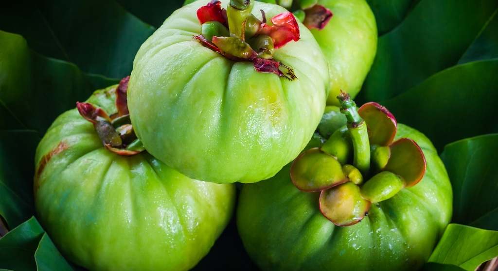 La planta 'milagrosa' que controla el colesterol, es buena para bajar de peso y ayuda a dormir