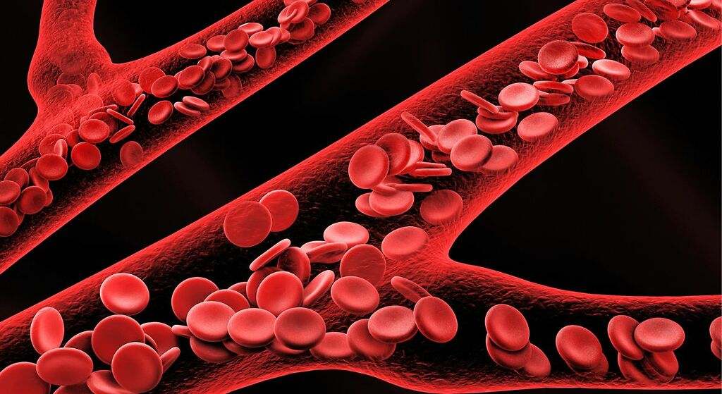Qué hay que hacer para limpiar las arterias de forma natural: siete trucos sencillos para mantenerlas sanas