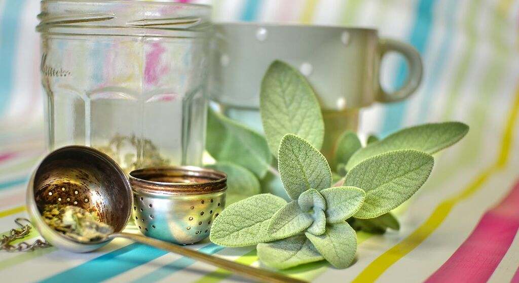 La infusión que desinflama la tripa, ayuda a dormir y mejora la memoria