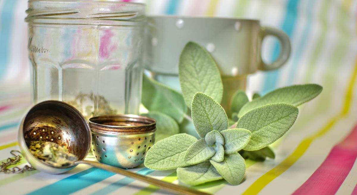 La infusión que desinflama la tripa, ayuda a dormir y mejora la memoria