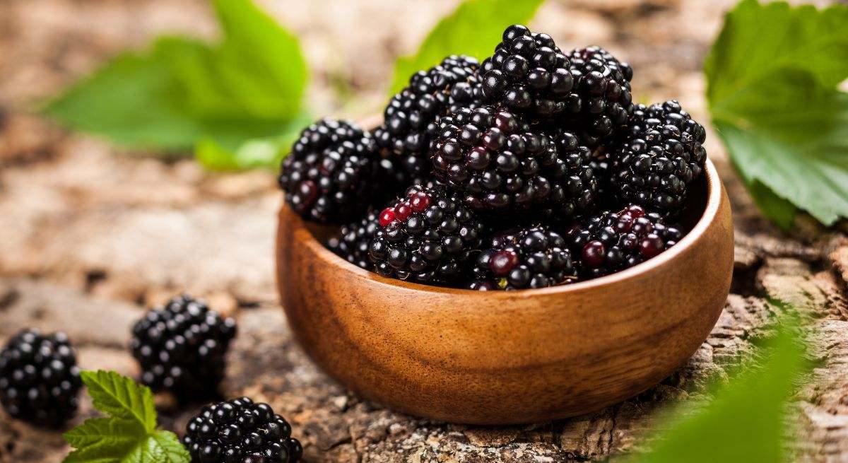 Moras